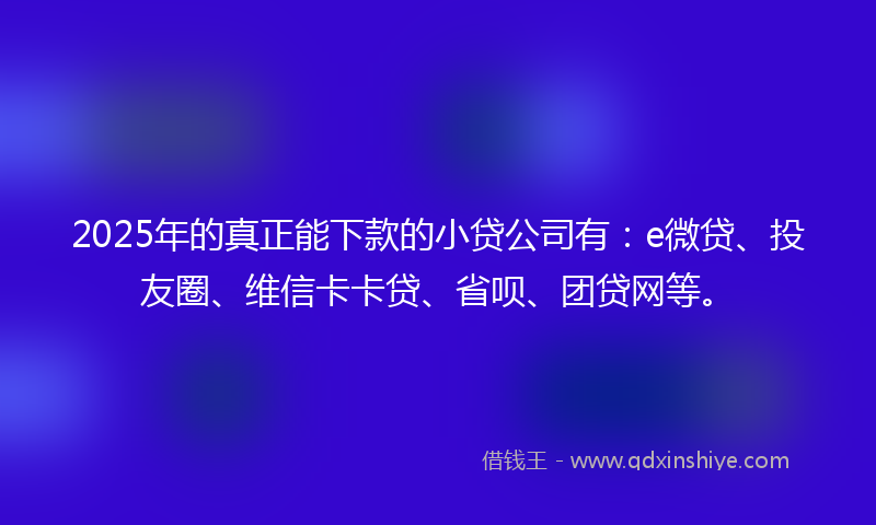 2025年的真正能下款的小贷公司有：e微贷、投友圈、维信卡卡贷、省呗、团贷网等。
