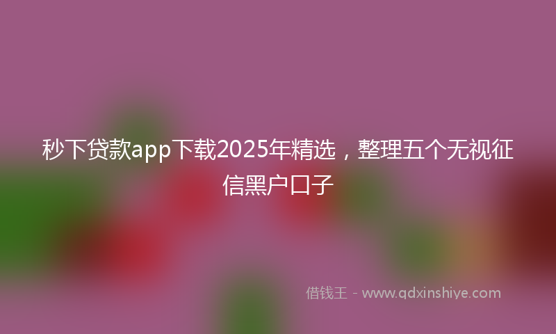 秒下贷款app下载2025年精选，整理五个无视征信黑户口子