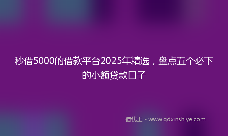 秒借5000的借款平台2025年精选，盘点五个必下的小额贷款口子