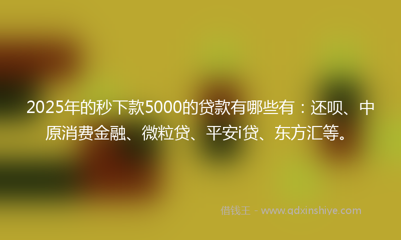 2025年的秒下款5000的贷款有哪些有:还呗、中原消费金融、微粒贷、平安i贷、东方汇等。