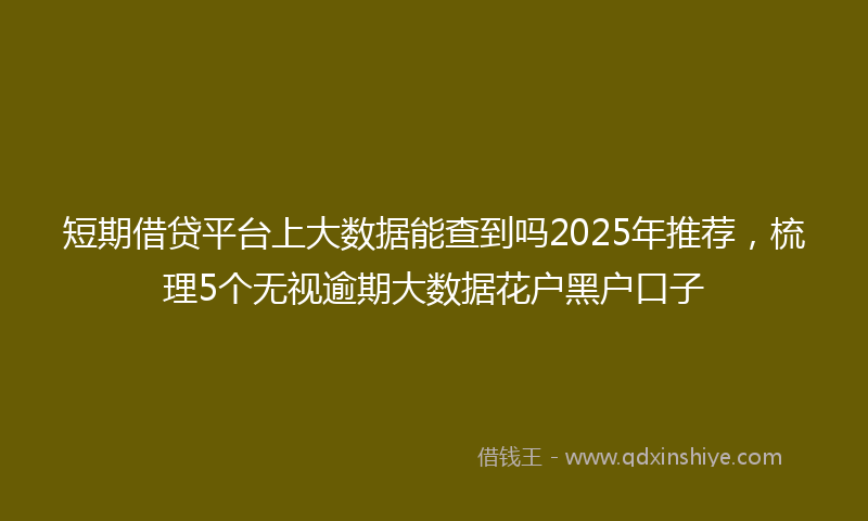 短期借贷平台上大数据能查到吗2025年推荐，梳理5个无视逾期大数据花户黑户口子