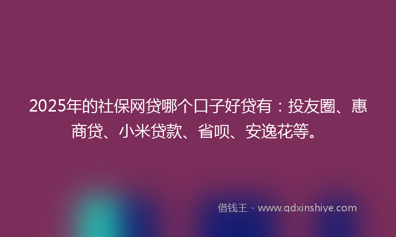 2025年的社保网贷哪个口子好贷有：投友圈、惠商贷、小米贷款、省呗、安逸花等。