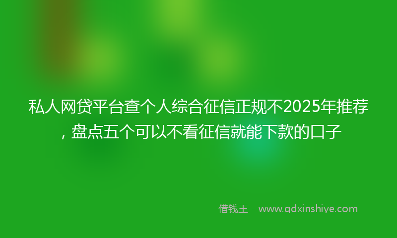 私人网贷平台查个人综合征信正规不2025年推荐，盘点五个可以不看征信就能下款的口子