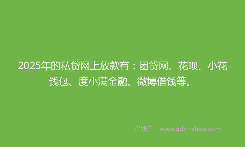 2025年的私贷网上放款有：团贷网、花呗、小花钱包、度小满金融、微博借钱等。