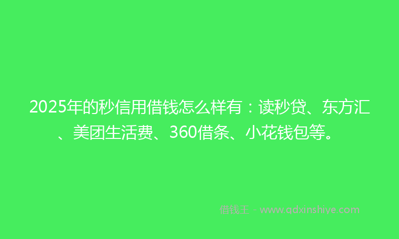 2025年的秒信用借钱怎么样有：读秒贷、东方汇、美团生活费、360借条、小花钱包等。