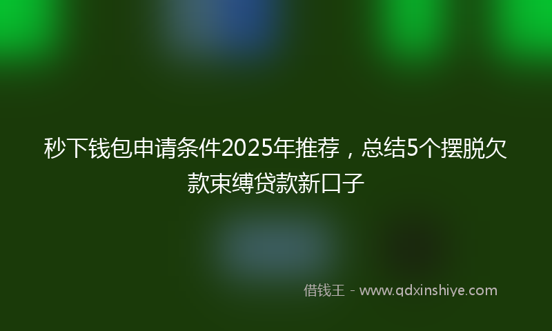 秒下钱包申请条件2025年推荐，总结5个摆脱欠款束缚贷款新口子