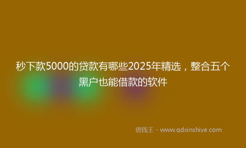 秒下款5000的贷款有哪些2025年精选，整合五个黑户也能借款的软件