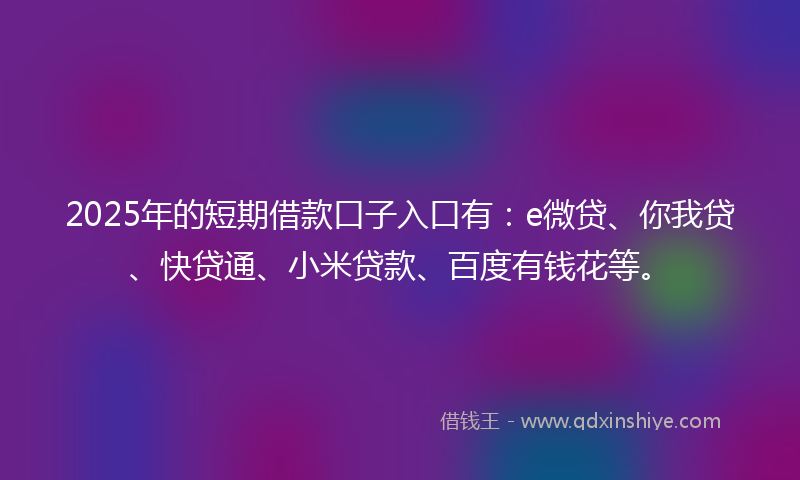 2025年的短期借款口子入口有：e微贷、你我贷、快贷通、小米贷款、百度有钱花等。