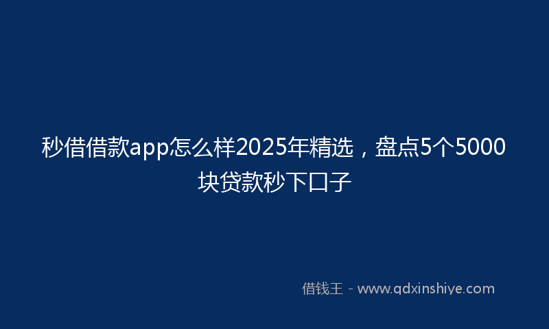 秒借借款app怎么样2025年精选，盘点5个5000块贷款秒下口子
