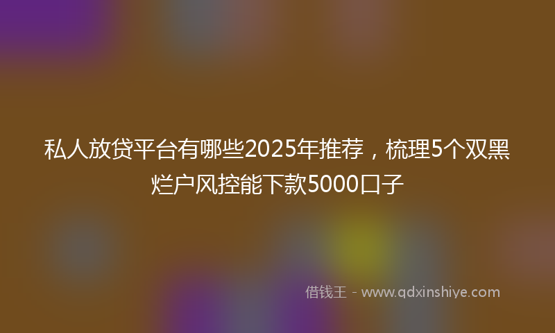 私人放贷平台有哪些2025年推荐，梳理5个双黑烂户风控能下款5000口子