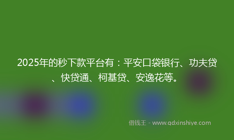 2025年的秒下款平台有：平安口袋银行、功夫贷、快贷通、柯基贷、安逸花等。