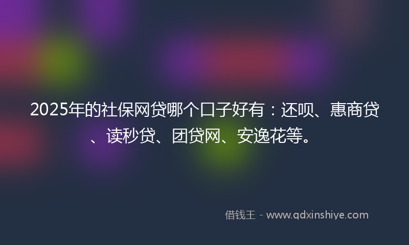 2025年的社保网贷哪个口子好有：还呗、惠商贷、读秒贷、团贷网、安逸花等。