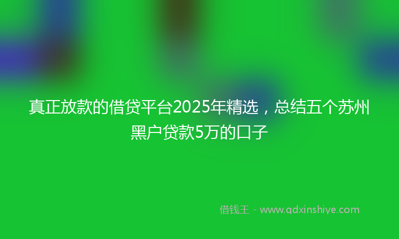 真正放款的借贷平台2025年精选,总结五个苏州黑户贷款5万的口子