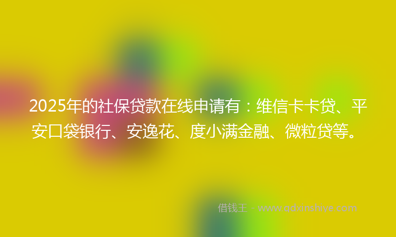 2025年的社保贷款在线申请有：维信卡卡贷、平安口袋银行、安逸花、度小满金融、微粒贷等。