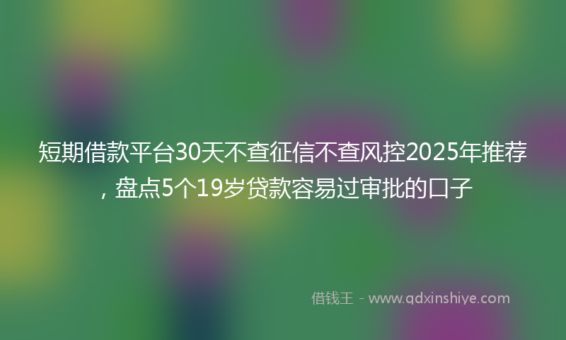 短期借款平台30天不查征信不查风控2025年推荐，盘点5个19岁贷款容易过审批的口子