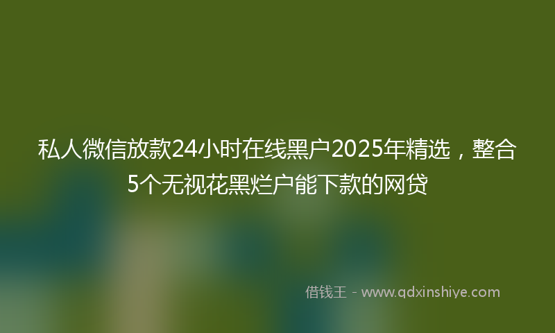 私人微信放款24小时在线黑户2025年精选，整合5个无视花黑烂户能下款的网贷