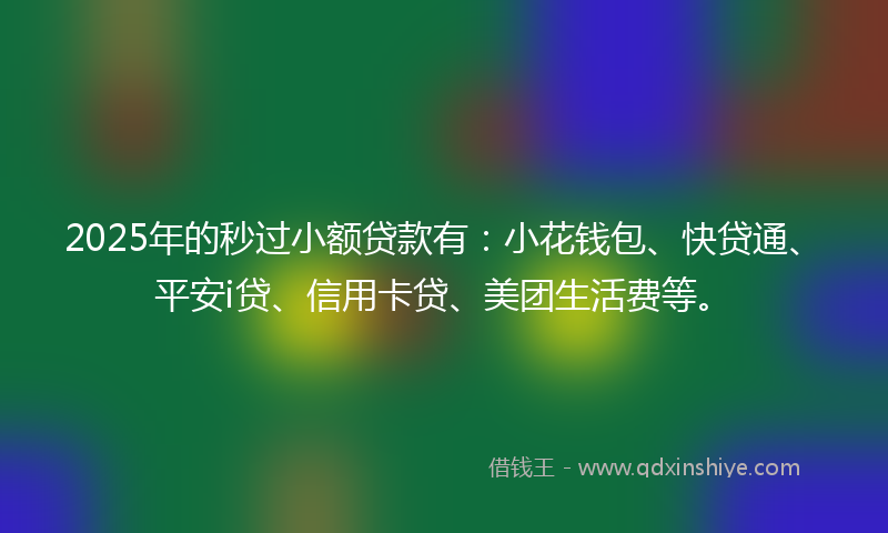 2025年的秒过小额贷款有：小花钱包、快贷通、平安i贷、信用卡贷、美团生活费等。