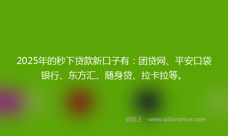 2025年的秒下贷款新口子有：团贷网、平安口袋银行、东方汇、随身贷、拉卡拉等。