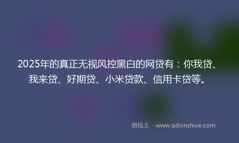 2025年的真正无视风控黑白的网贷有:你我贷、我来贷、好期贷、小米贷款、信用卡贷等。