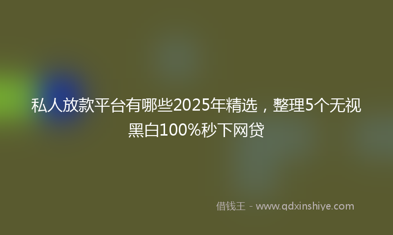 私人放款平台有哪些2025年精选，整理5个无视黑白100%秒下网贷