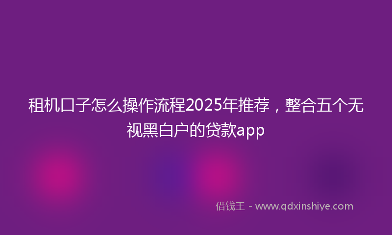 租机口子怎么操作流程2025年推荐，整合五个无视黑白户的贷款app