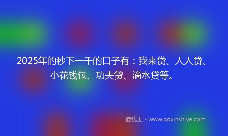 2025年的秒下一千的口子有：我来贷、人人贷、小花钱包、功夫贷、滴水贷等。