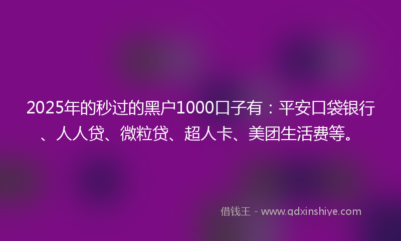 2025年的秒过的黑户1000口子有：平安口袋银行、人人贷、微粒贷、超人卡、美团生活费等。