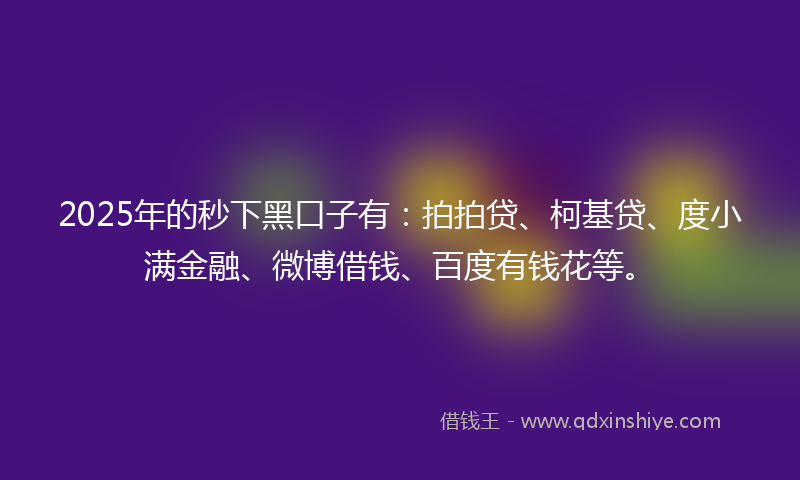 2025年的秒下黑口子有：拍拍贷、柯基贷、度小满金融、微博借钱、百度有钱花等。