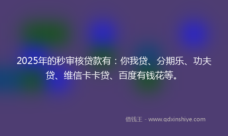 2025年的秒审核贷款有：你我贷、分期乐、功夫贷、维信卡卡贷、百度有钱花等。