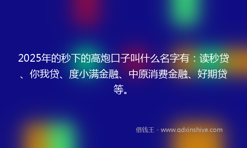 2025年的秒下的高炮口子叫什么名字有：读秒贷、你我贷、度小满金融、中原消费金融、好期贷等。