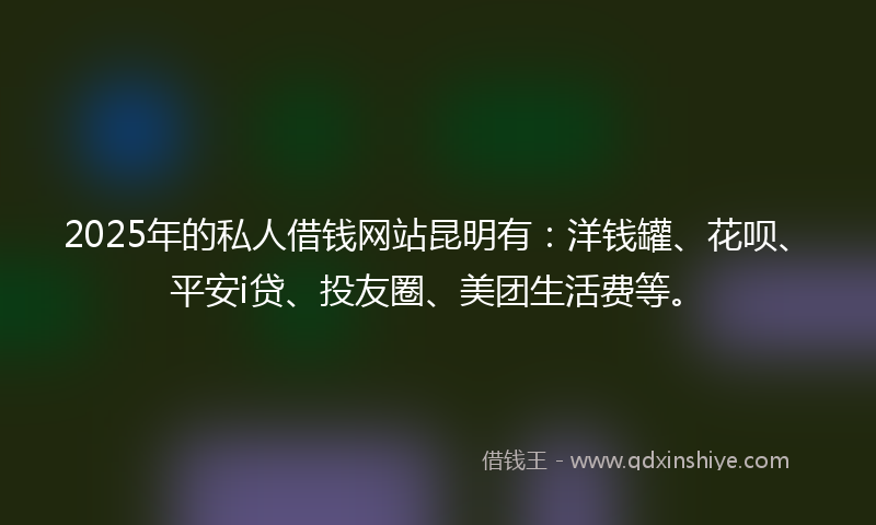 2025年的私人借钱网站昆明有：洋钱罐、花呗、平安i贷、投友圈、美团生活费等。