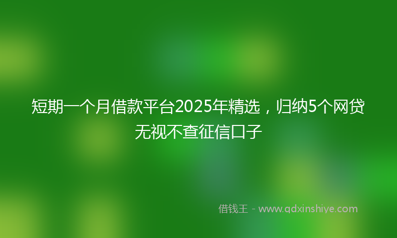 短期一个月借款平台2025年精选，归纳5个网贷无视不查征信口子