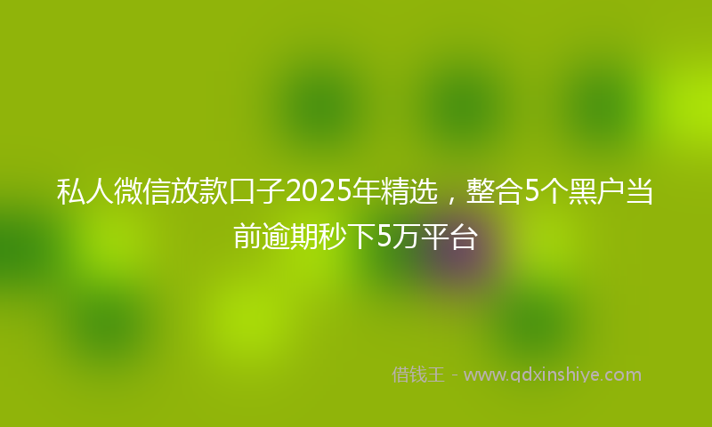 私人微信放款口子2025年精选，整合5个黑户当前逾期秒下5万平台