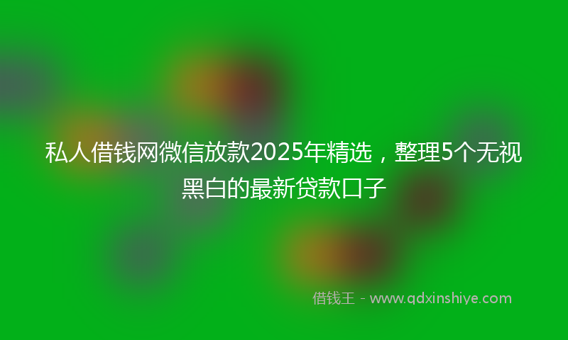 私人借钱网微信放款2025年精选，整理5个无视黑白的最新贷款口子