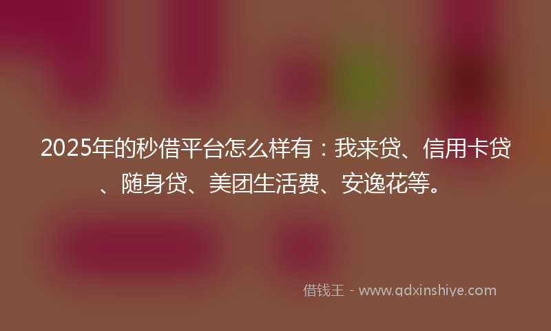 2025年的秒借平台怎么样有：我来贷、信用卡贷、随身贷、美团生活费、安逸花等。
