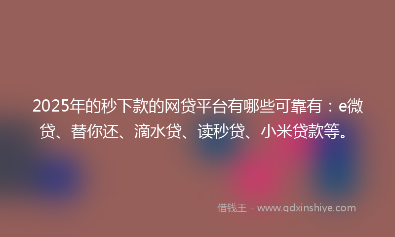 2025年的秒下款的网贷平台有哪些可靠有：e微贷、替你还、滴水贷、读秒贷、小米贷款等。
