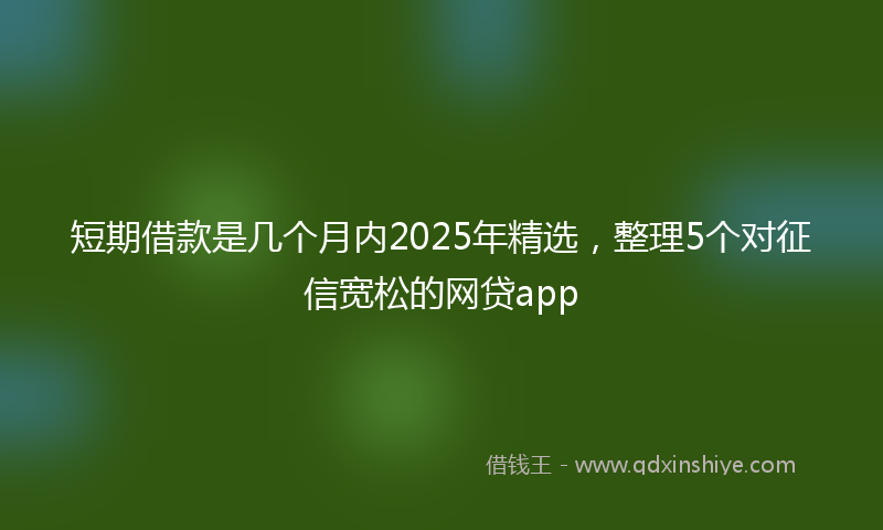 短期借款是几个月内2025年精选，整理5个对征信宽松的网贷app