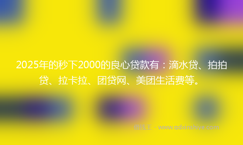2025年的秒下2000的良心贷款有：滴水贷、拍拍贷、拉卡拉、团贷网、美团生活费等。