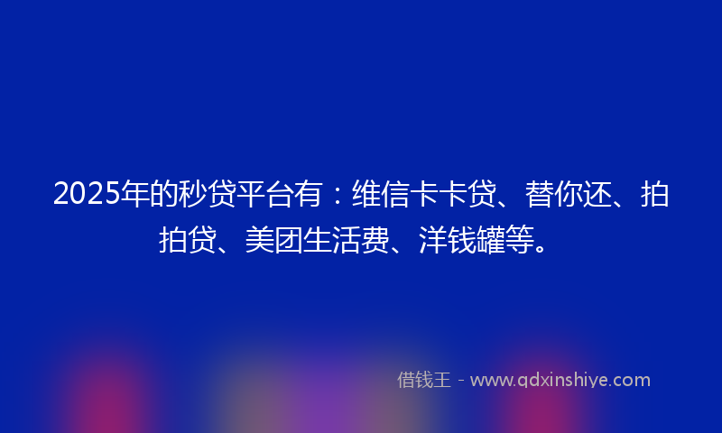 2025年的秒贷平台有：维信卡卡贷、替你还、拍拍贷、美团生活费、洋钱罐等。