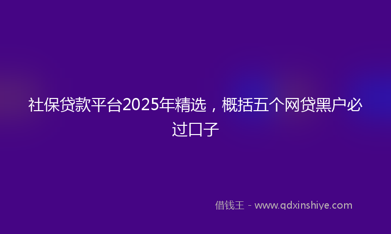 社保贷款平台2025年精选，概括五个网贷黑户必过口子