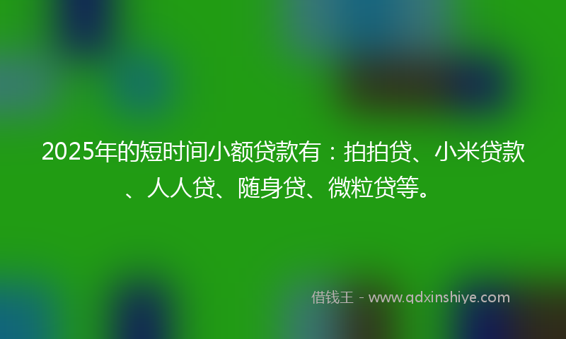 2025年的短时间小额贷款有：拍拍贷、小米贷款、人人贷、随身贷、微粒贷等。