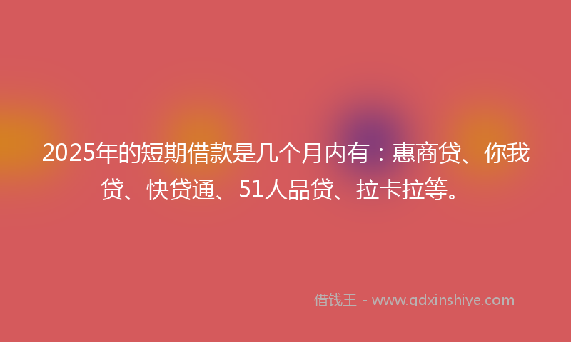 2025年的短期借款是几个月内有：惠商贷、你我贷、快贷通、51人品贷、拉卡拉等。