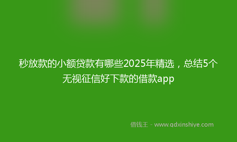 秒放款的小额贷款有哪些2025年精选，总结5个无视征信好下款的借款app