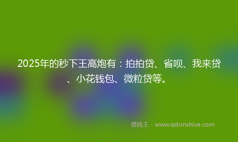 2025年的秒下王高炮有：拍拍贷、省呗、我来贷、小花钱包、微粒贷等。