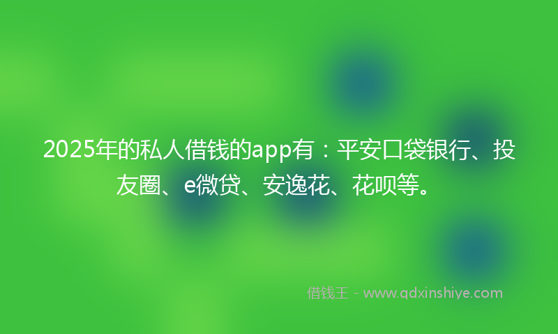 2025年的私人借钱的app有：平安口袋银行、投友圈、e微贷、安逸花、花呗等。
