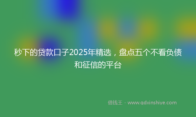 秒下的贷款口子2025年精选，盘点五个不看负债和征信的平台