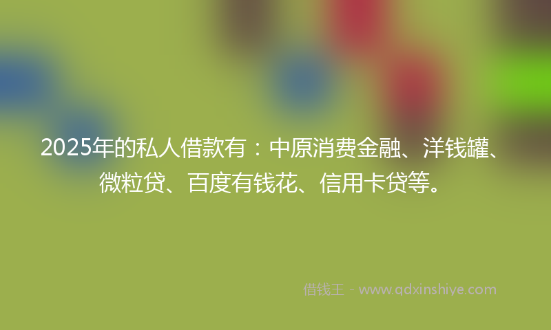 2025年的私人借款有：中原消费金融、洋钱罐、微粒贷、百度有钱花、信用卡贷等。
