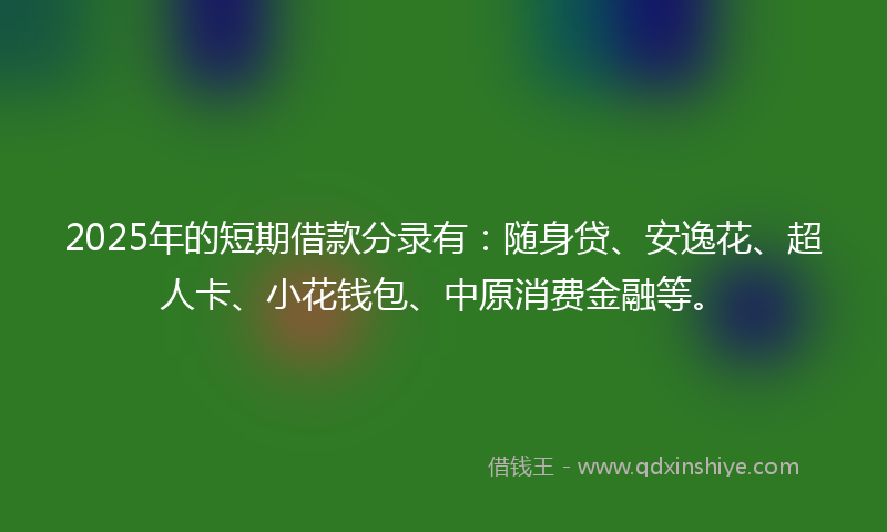 2025年的短期借款分录有：随身贷、安逸花、超人卡、小花钱包、中原消费金融等。