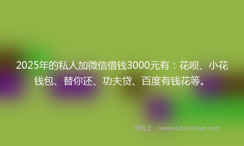 2025年的私人加微信借钱3000元有：花呗、小花钱包、替你还、功夫贷、百度有钱花等。