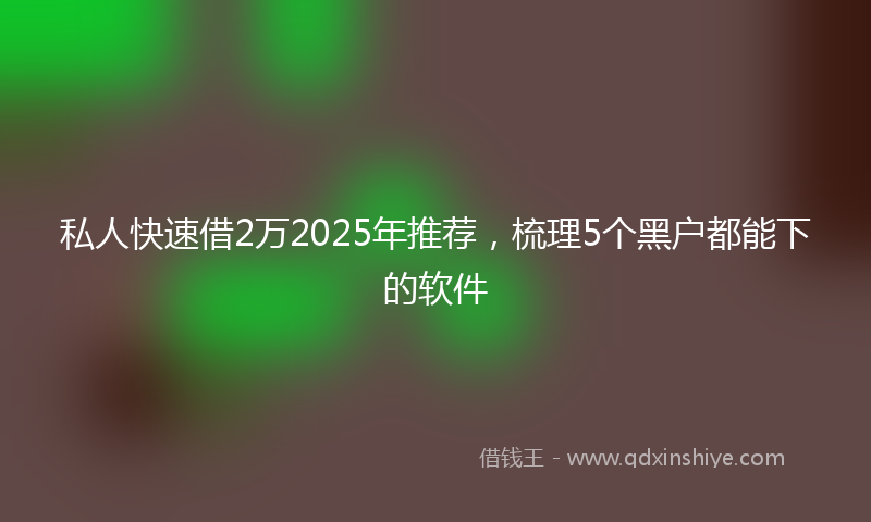 私人快速借2万2025年推荐，梳理5个黑户都能下的软件